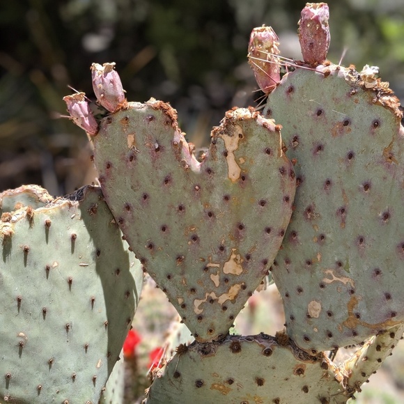 Everything! - Picture 1 of 1